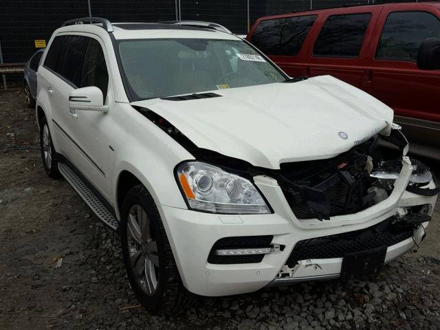 4JGBF2FE8BA645848 - 2011 MERCEDES-BENZ GL 350 BLU WHITE photo 1