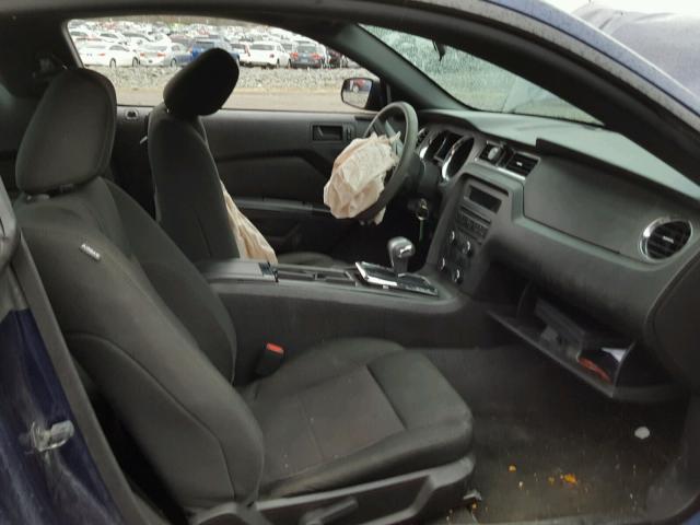 1ZVBP8AM0B5130013 - 2011 FORD MUSTANG BLUE photo 5