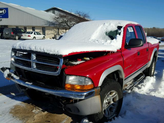 1B7HG2AZ61S286627 - 2001 DODGE DAKOTA QUA RED photo 2