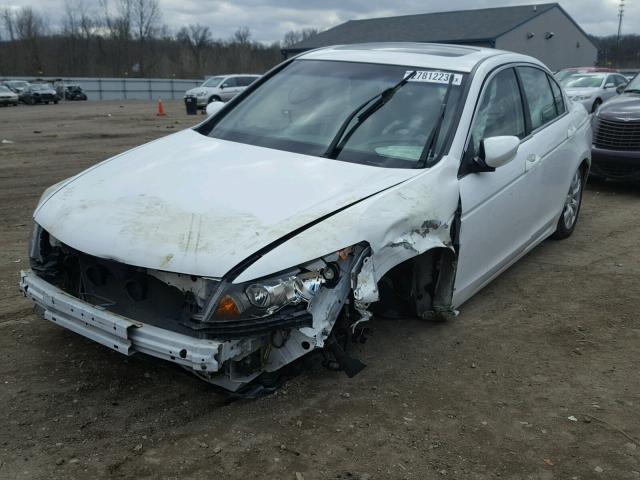 1HGCP26779A124736 - 2009 HONDA ACCORD EX WHITE photo 2