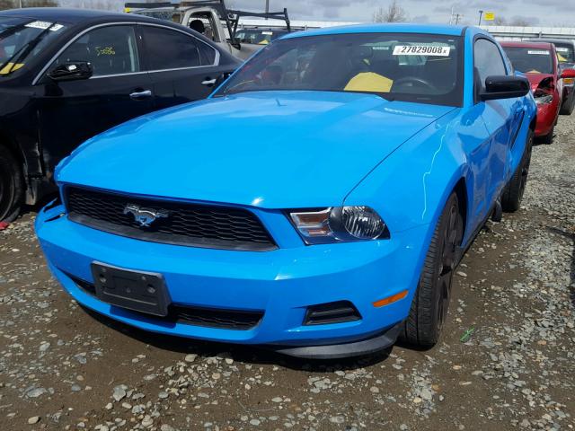 1ZVBP8AM5C5273086 - 2012 FORD MUSTANG BLUE photo 2