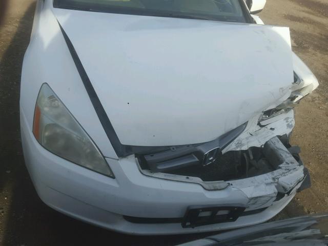 1HGCM56455A163674 - 2005 HONDA ACCORD LX WHITE photo 7