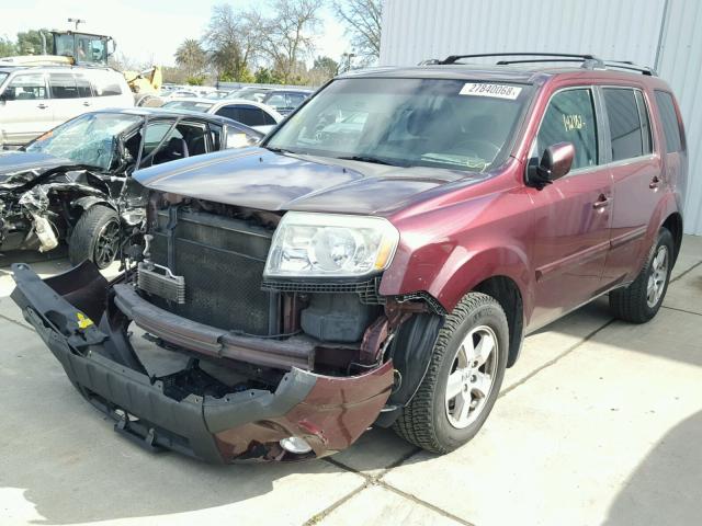 5FNYF4H65BB033582 - 2011 HONDA PILOT EXL BURGUNDY photo 2