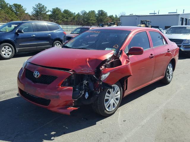 1NXBU4EE5AZ346396 - 2010 TOYOTA COROLLA BA RED photo 2