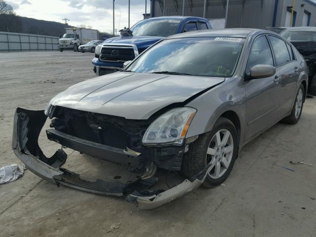 1N4BA41E56C850775 - 2006 NISSAN MAXIMA SE TAN photo 2