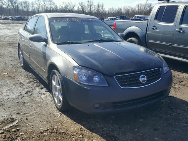 1N4AL11D66N433911 - 2006 NISSAN ALTIMA S GRAY photo 1