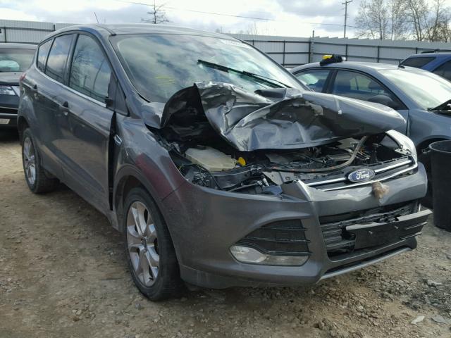 1FMCU0H98DUB16044 - 2013 FORD ESCAPE SEL GRAY photo 1