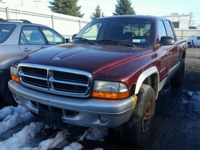 1B7HG48N52S562392 - 2002 DODGE DAKOTA QUA BURGUNDY photo 2