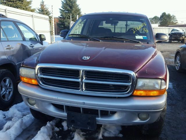 1B7HG48N52S562392 - 2002 DODGE DAKOTA QUA BURGUNDY photo 9