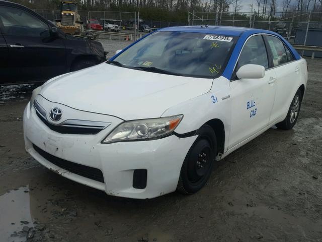 4T1BB3EK6BU136641 - 2011 TOYOTA CAMRY HYBR WHITE photo 2