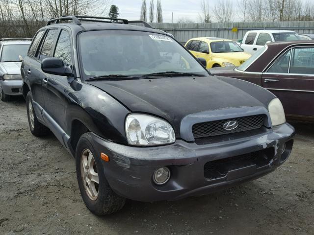 KM8SC13EX4U748603 - 2004 HYUNDAI SANTA FE G BLACK photo 1