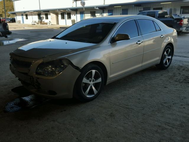 1G1ZC5E09CF295436 - 2012 CHEVROLET MALIBU 1LT 金色 照片 2