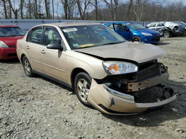 1G1ZT52844F216749 - 2004 CHEVROLET MALIBU LS თაფლისფერი ფოტო 1