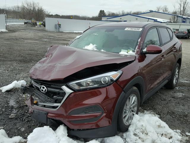 KM8J2CA47JU611859 - 2018 HYUNDAI TUCSON SE BURGUNDY photo 2