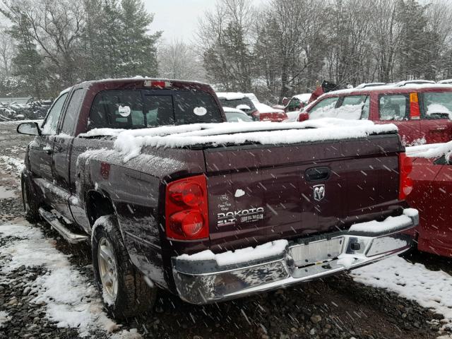 1D7HE42K85S357275 - 2005 DODGE DAKOTA SLT MAROON photo 3