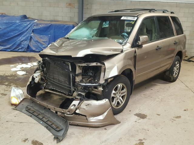 2HKYF18454H608748 - 2004 HONDA PILOT EX GOLD photo 2