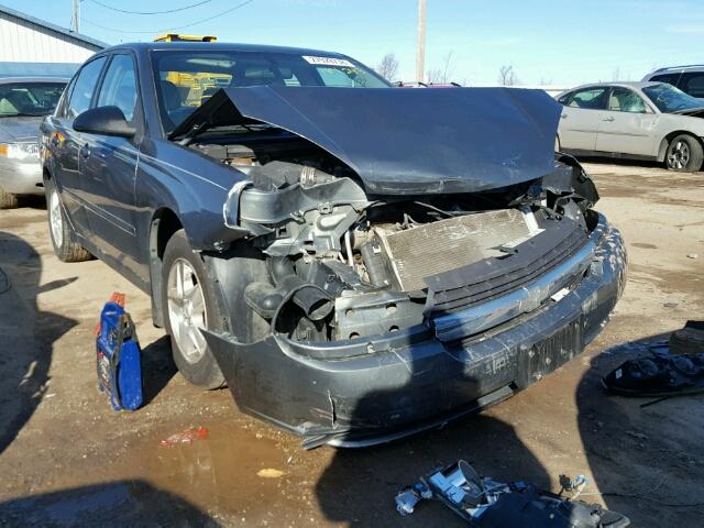 1G1ZT54874F102211 - 2004 CHEVROLET MALIBU LS ნაცრისფერი ფოტო 1