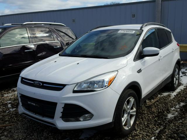 1FMCU9GX6EUD85648 - 2014 FORD ESCAPE SE WHITE photo 2