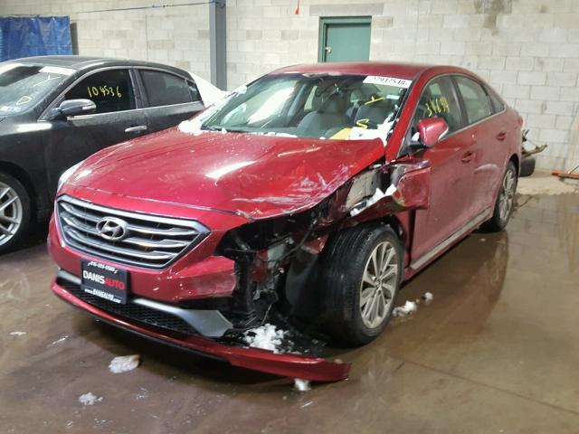 5NPE34AF2FH124466 - 2015 HYUNDAI SONATA SPO RED photo 2