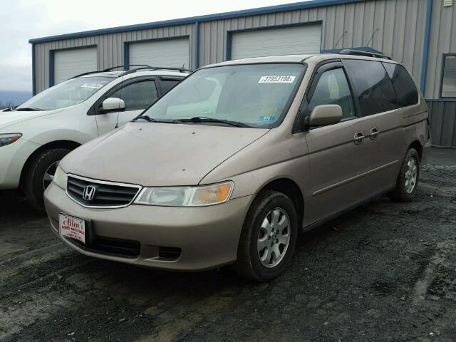 5FNRL18674B073984 - 2004 HONDA ODYSSEY EX TAN photo 2