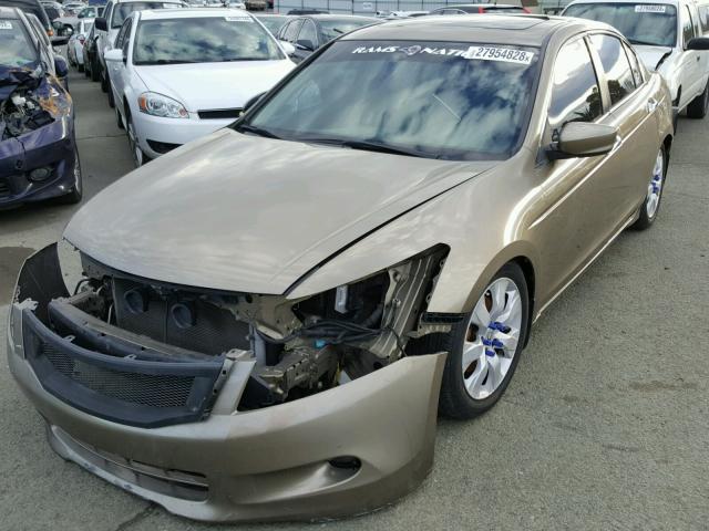 1HGCP36848A024204 - 2008 HONDA ACCORD EXL GOLD photo 2