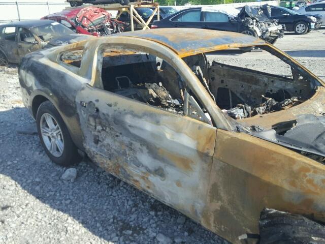 1ZVBP8AM2E5299180 - 2014 FORD MUSTANG BURN photo 9