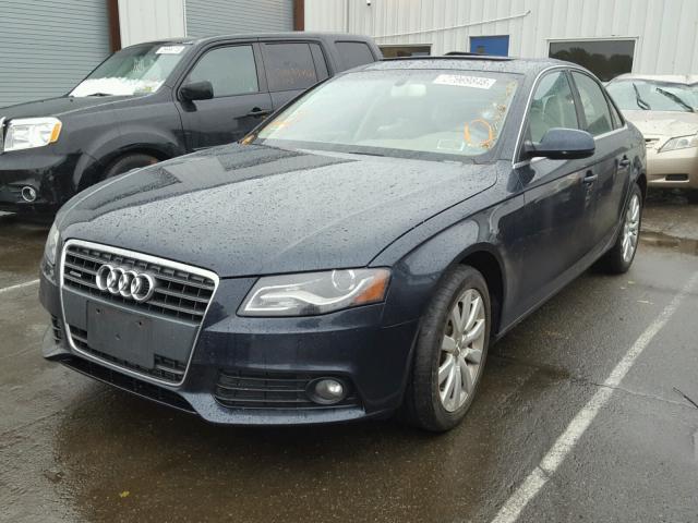 WAUBFAFL0CA107852 - 2012 AUDI A4 PREMIUM BLUE photo 2