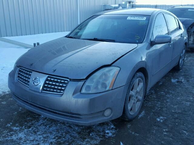 1N4BA41E45C844402 - 2005 NISSAN MAXIMA SE GOLD photo 2