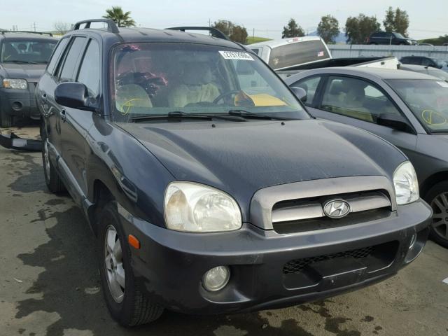 KM8SC13D35U936744 - 2005 HYUNDAI SANTA FE G GRAY photo 1