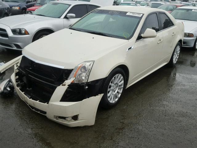 1G6DA5EY8B0106972 - 2011 CADILLAC CTS CREAM photo 2