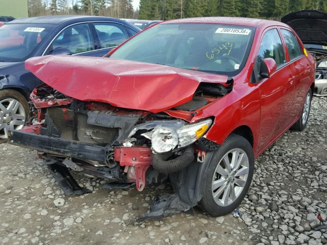 2T1BU4EE6AC406543 - 2010 TOYOTA COROLLA BA RED photo 2