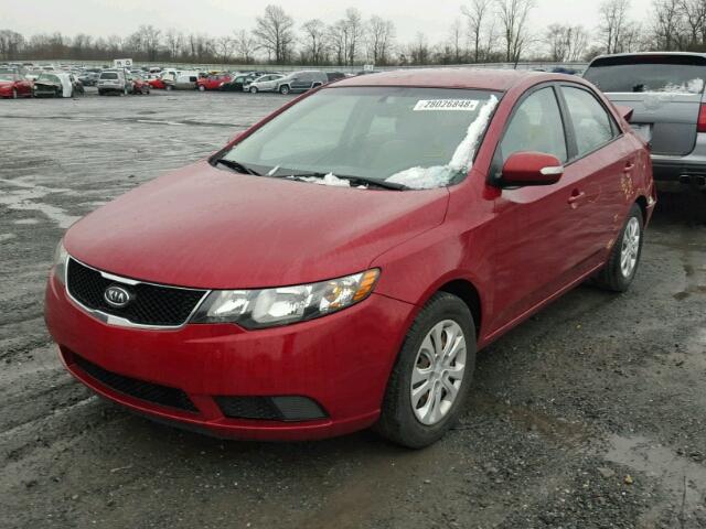 KNAFU4A28A5844391 - 2010 KIA FORTE EX RED photo 2