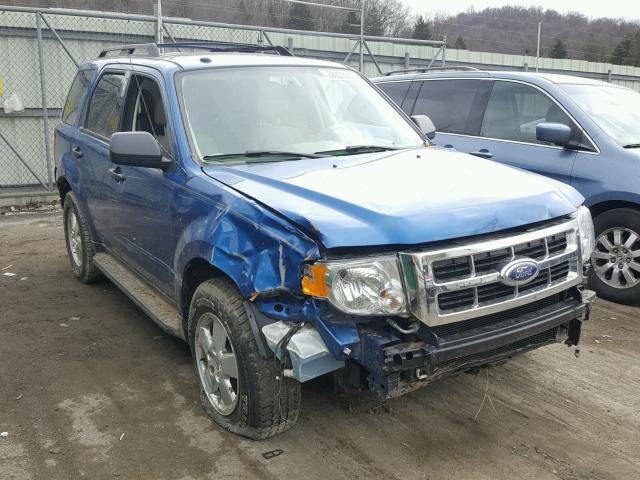 1FMCU9D75BKC02963 - 2011 FORD ESCAPE XLT BLUE photo 1