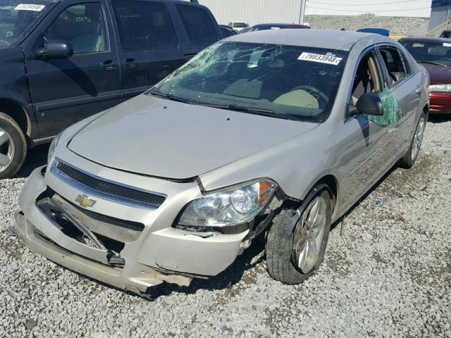 1G1ZB5E08CF104883 - 2012 CHEVROLET MALIBU LS ოქროსფერი ფოტო 2