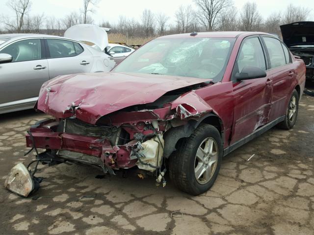 1G1ZT54825F290539 - 2005 CHEVROLET MALIBU LS წითელი ფოტო 2