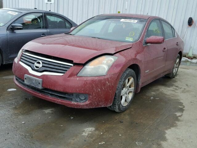 1N4CL21EX7C159410 - 2007 NISSAN ALTIMA HYB RED photo 2