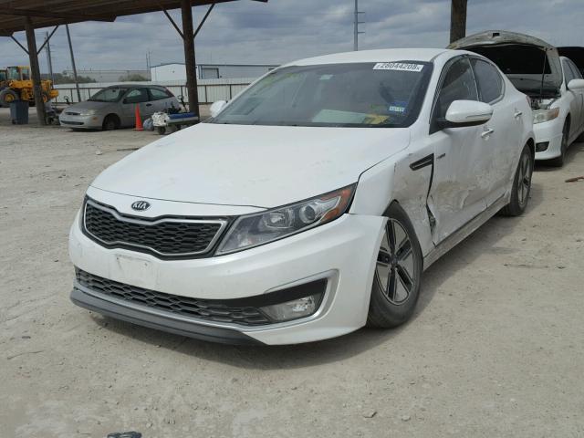 KNAGM4ADXD5056951 - 2013 KIA OPTIMA HYB WHITE photo 2