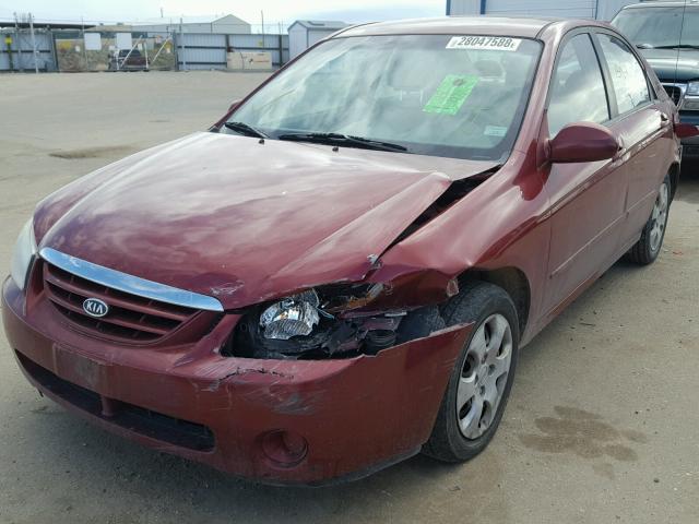 KNAFE122265276303 - 2006 KIA NEW SPECTR MAROON photo 2