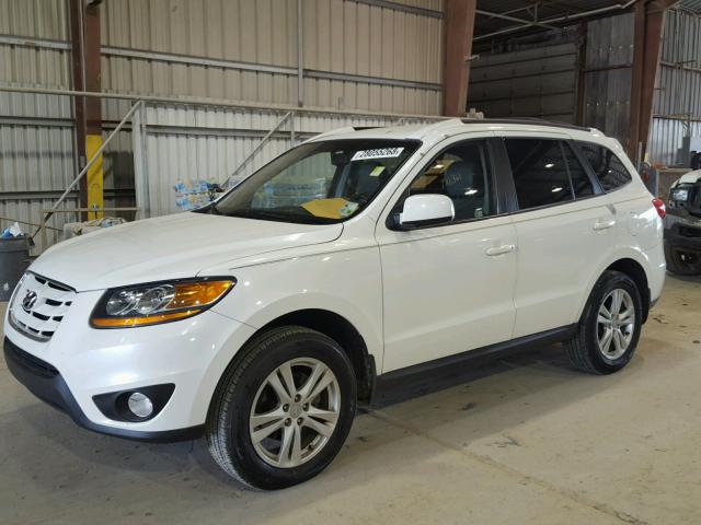 5NMSH4AG9AH357733 - 2010 HYUNDAI SANTA FE WHITE photo 2