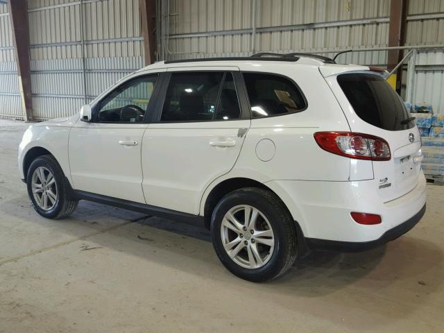 5NMSH4AG9AH357733 - 2010 HYUNDAI SANTA FE WHITE photo 3