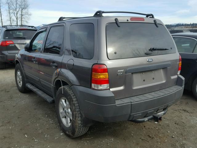 1FMYU93165KA05923 - 2005 FORD ESCAPE XLT GRAY photo 3