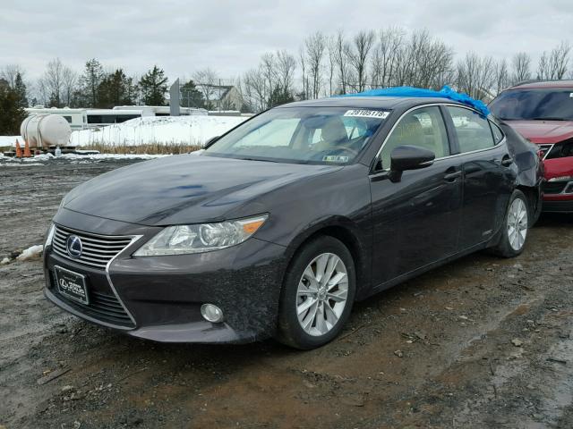 JTHBW1GG9D2008526 - 2013 LEXUS ES 300H BROWN photo 2