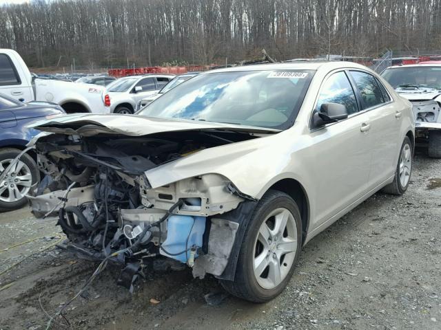 1G1ZB5E10BF290474 - 2011 CHEVROLET MALIBU LS 金色 照片 2