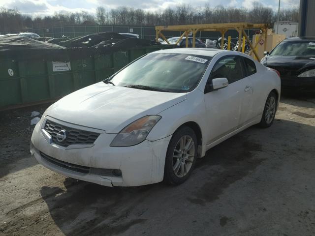 1N4BL24E78C117253 - 2008 NISSAN ALTIMA 3.5 WHITE photo 2