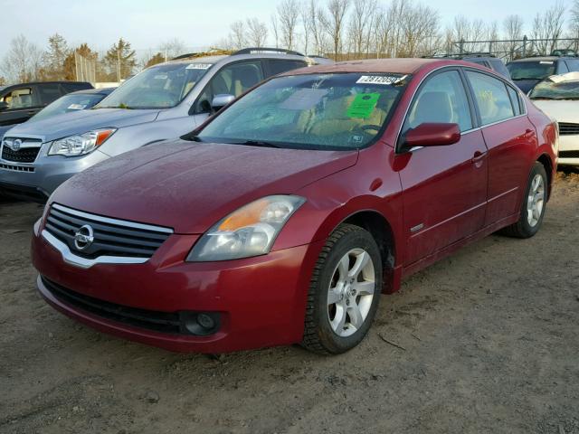 1N4CL21E67C168993 - 2007 NISSAN ALTIMA HYB RED photo 2
