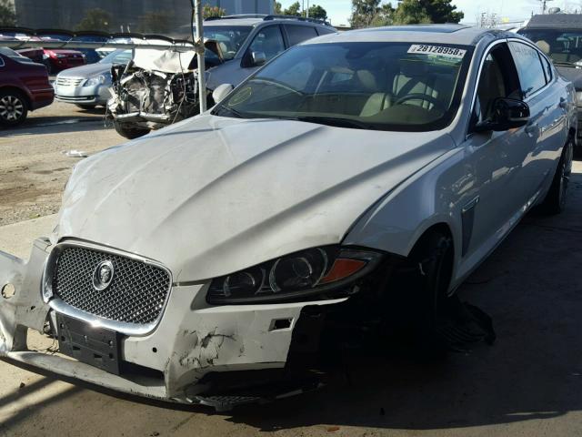 SAJWA0HB1CLS42250 - 2012 JAGUAR XF PORTFOL WHITE photo 2