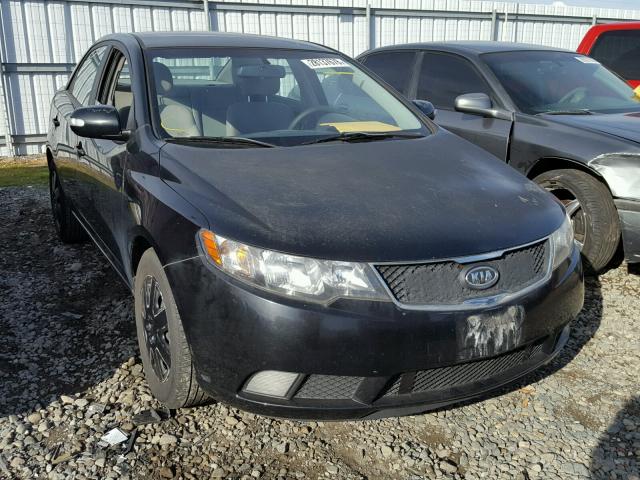 KNAFU4A20A5147054 - 2010 KIA FORTE EX BLACK photo 1