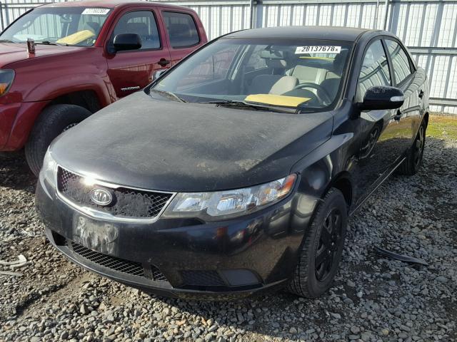 KNAFU4A20A5147054 - 2010 KIA FORTE EX BLACK photo 2