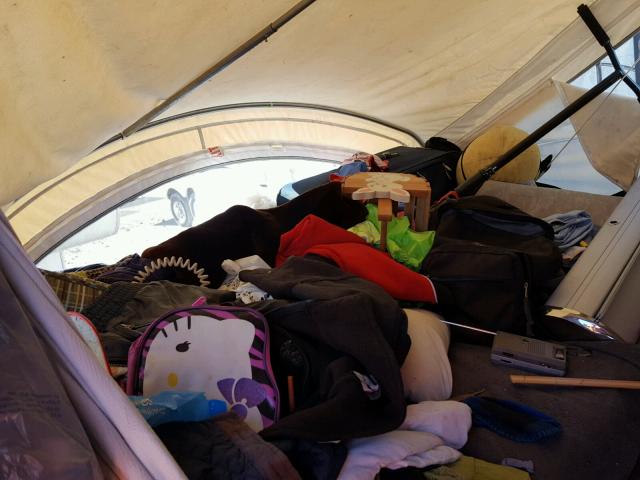 4C9HT15119S032093 - 2009 MISC SLIDE CAMP Бежевий фото 6