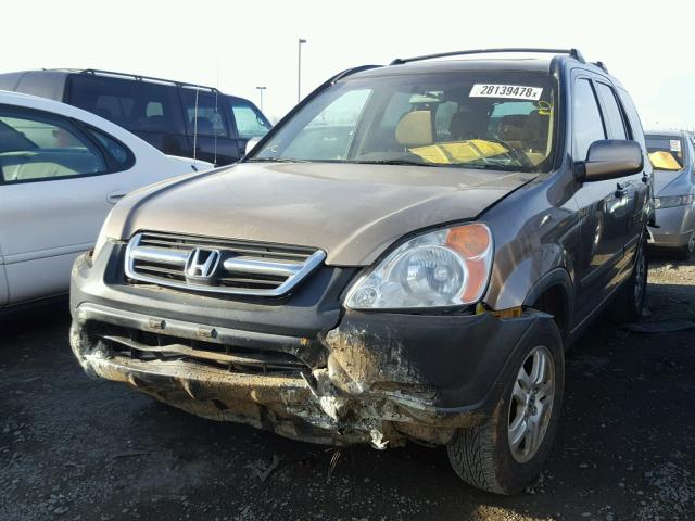 JHLRD78894C031494 - 2004 HONDA CR-V EX BROWN photo 2